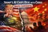 Trump's approval of Nvidia AI chips sales in China faces criticism from lawmakers and former officials. - Post Thumbnail