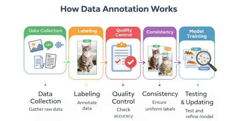 Step-by-step diagram showing the data annotation process from collection to model training