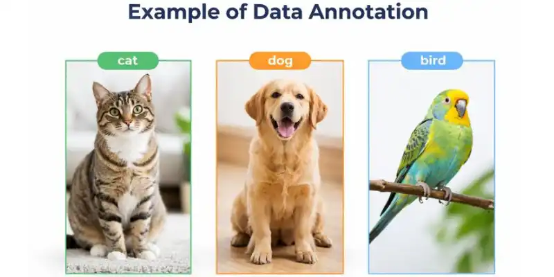 Illustration explaining data annotation with labeled images of a cat and dog