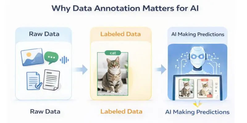 Flowchart showing how raw data turns into labeled data for AI learning